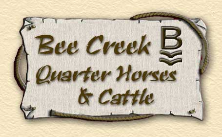 Bee Creek Quarter Horses and Cattle
