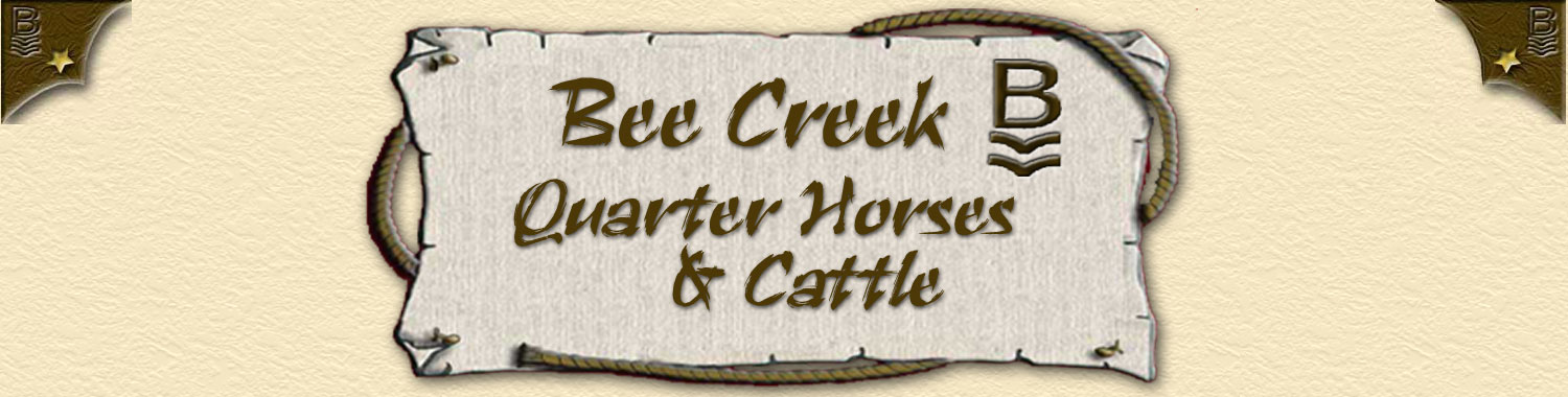 Bee Creek Quarter Horses